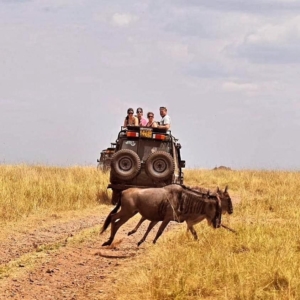 Where to go in East Africa